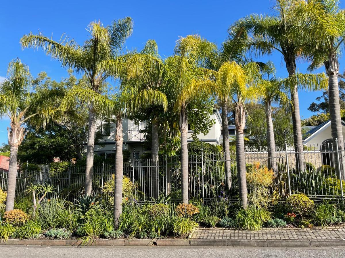 Constantiaberg Eco-Villa Cape Town Dış mekan fotoğraf