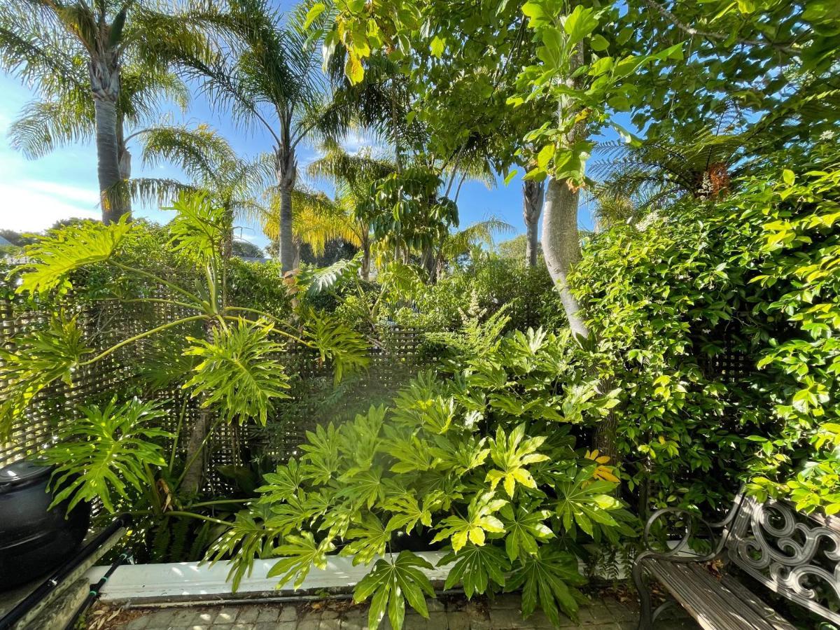 Constantiaberg Eco-Villa Cape Town Dış mekan fotoğraf