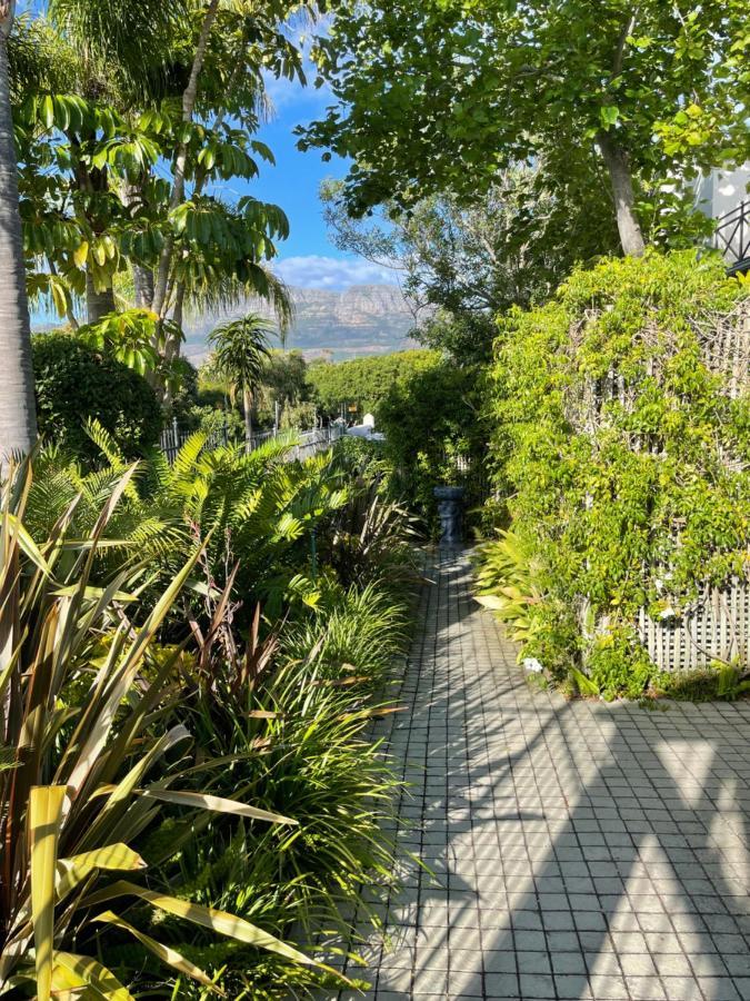 Constantiaberg Eco-Villa Cape Town Dış mekan fotoğraf
